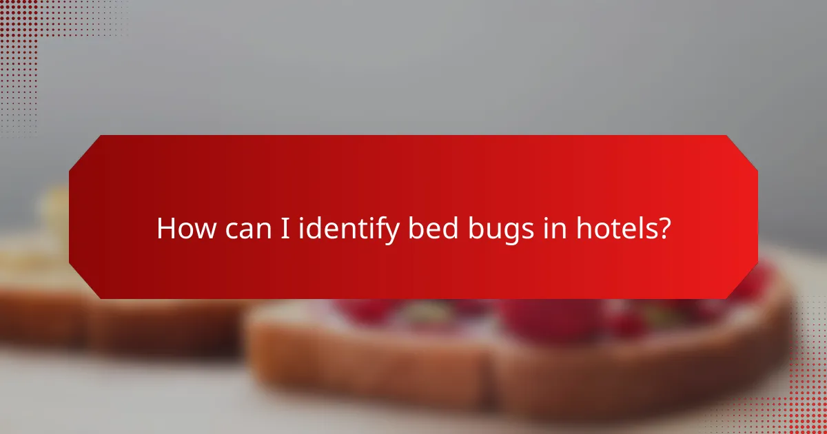 How can I identify bed bugs in hotels?