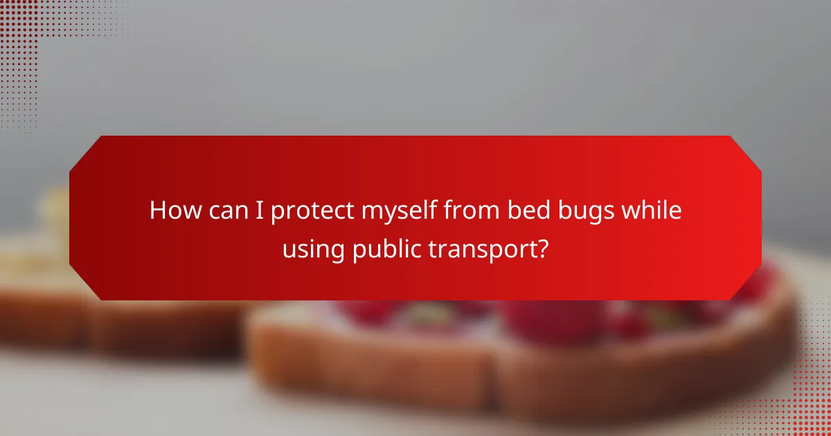 How can I protect myself from bed bugs while using public transport?