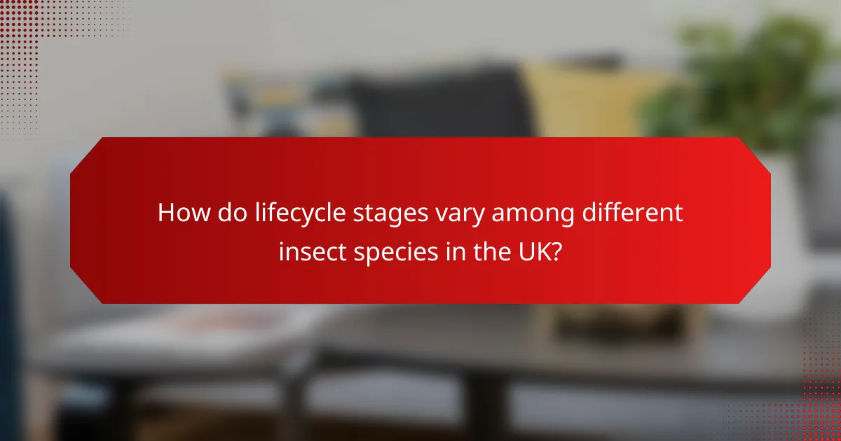 How do lifecycle stages vary among different insect species in the UK?