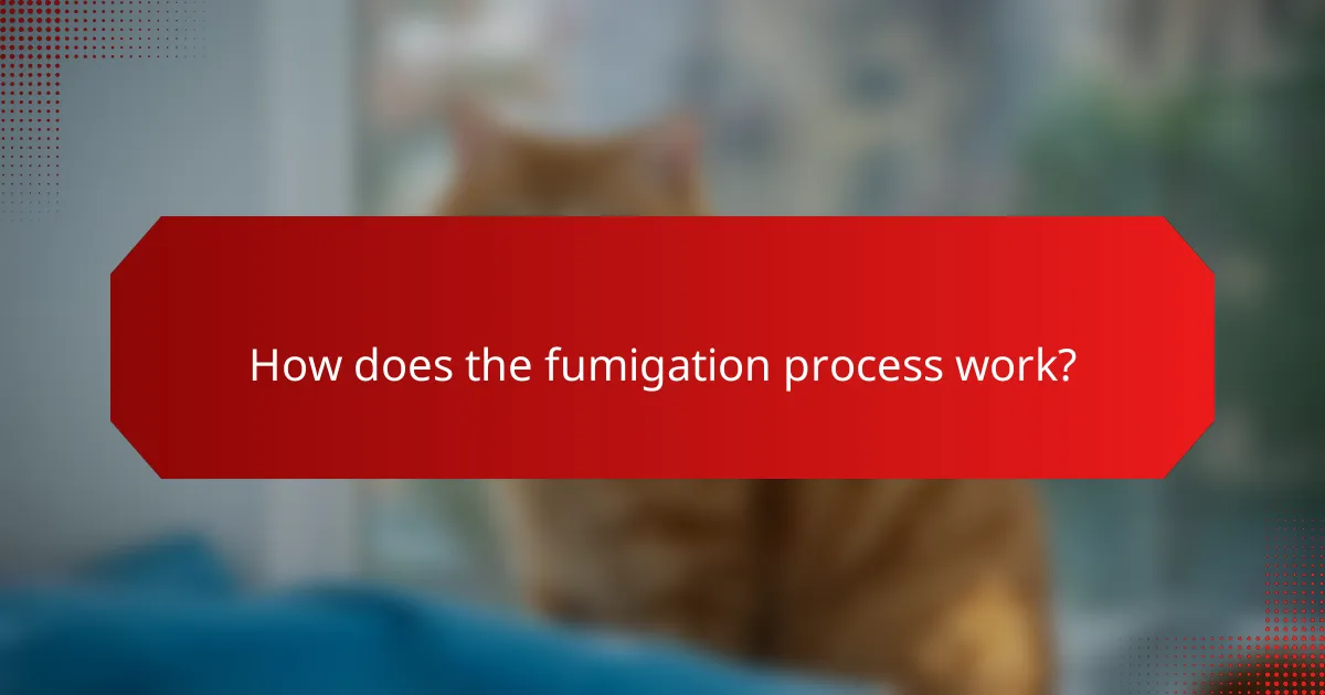 How does the fumigation process work?