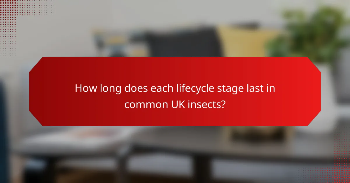 How long does each lifecycle stage last in common UK insects?