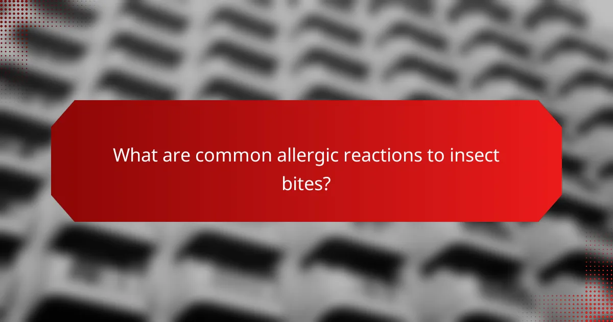 What are common allergic reactions to insect bites?