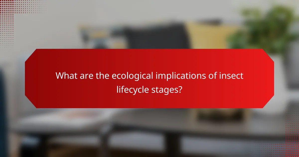 What are the ecological implications of insect lifecycle stages?