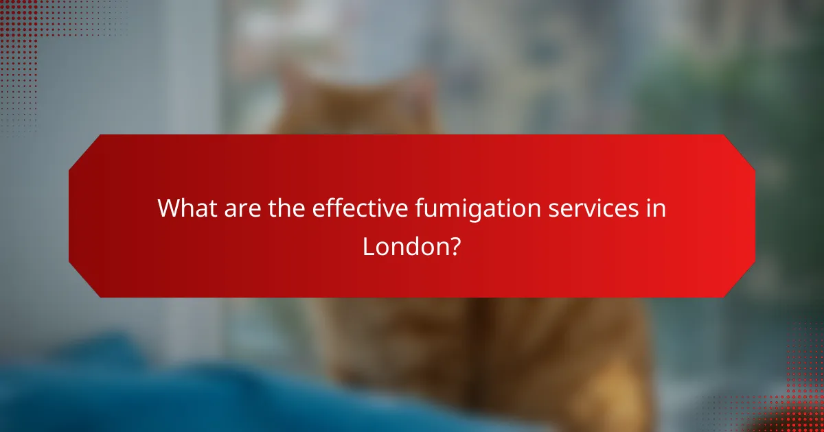What are the effective fumigation services in London?