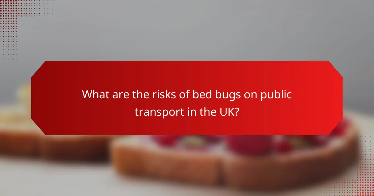 What are the risks of bed bugs on public transport in the UK?